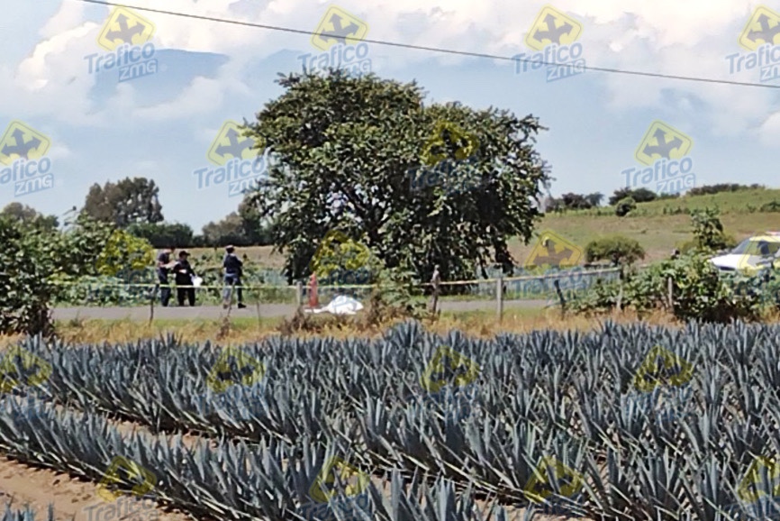 Accidente en San Gabriel deja un muerto y un lesionado Tráfico ZMG