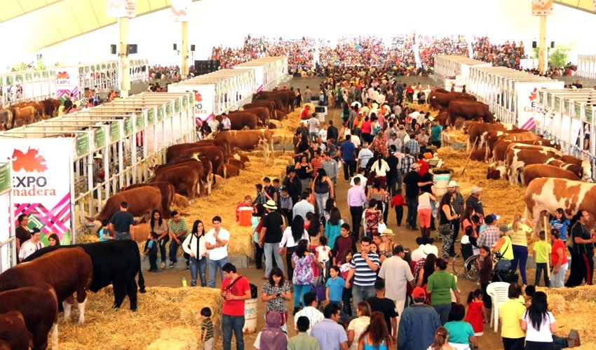 Todo listo para el inicio de la Expo Ganadera 2019 Tráfico ZMG